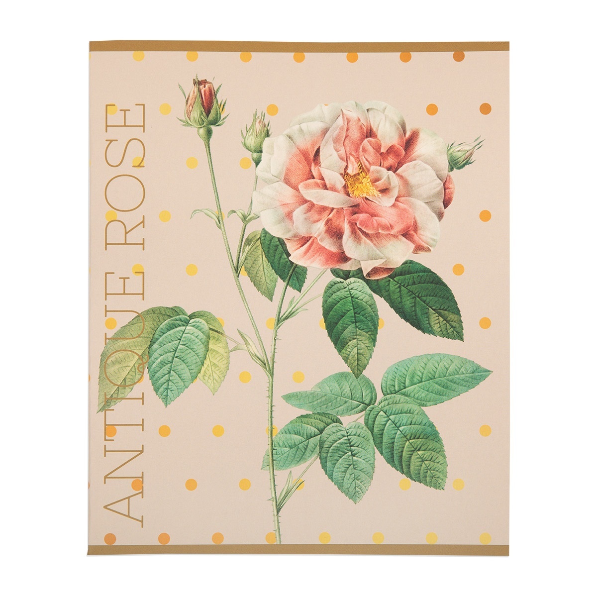 Набор тетрадей общих в клетку Светоч Цветы SVT_481421_01, 48 л., 10 шт. 
Набор тетрадей общих в клетку Светоч Цветы SVT_481421_01, 48 л., 10 шт.