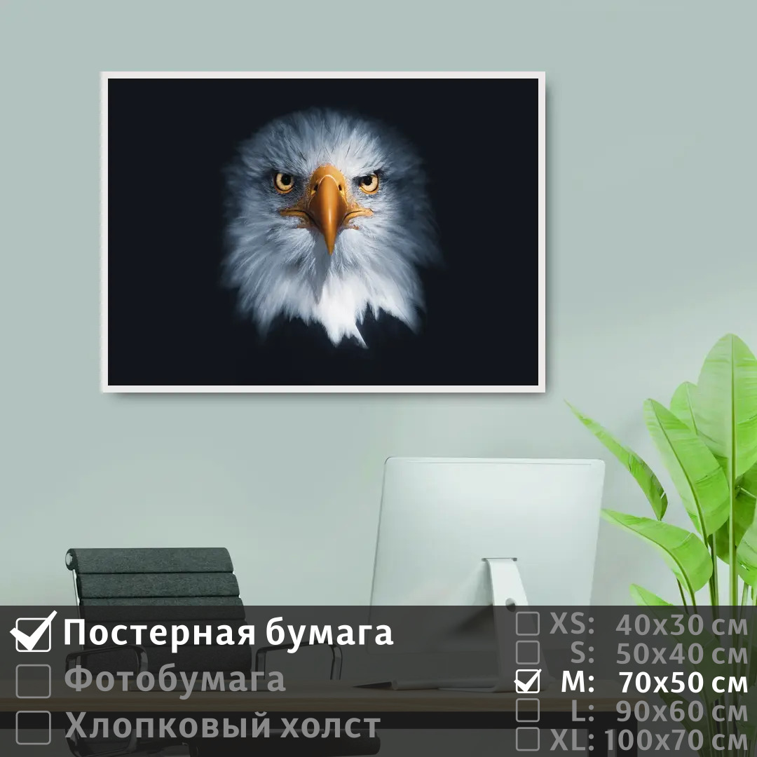 Постер на стену ПолиЦентр Хищная сова с оранжевым клювом 70х50 см, ХищнаяСоваСОранжевымКлювом
Постер на стену ПолиЦентр Хищная сова с оранжевым клювом 70х50 см, ХищнаяСоваСОранжевымКлювом