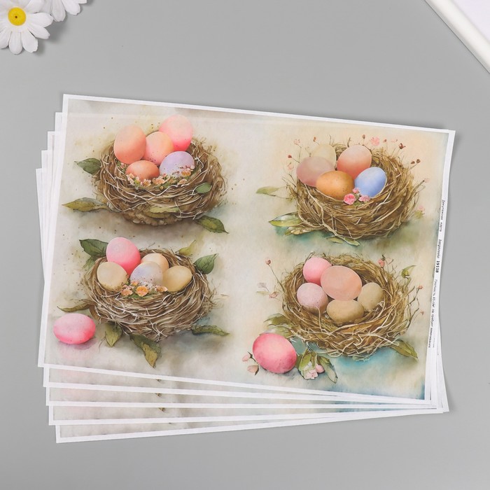 Декупажная карта Весна близко, 10388232-5p 45 г/м2, формат А4 5 шт, Разноцветный
Декупажная карта Весна близко, 10388232-5p 45 г/м2, формат А4 5 шт, Разноцветный