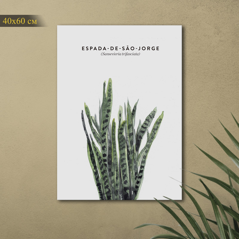 Картина КартинуМне! Sansevieria trifasciata, N001499, 40х60 см, Sansevieria trifasciata
Картина КартинуМне! Sansevieria trifasciata, N001499, 40х60 см, Sansevieria trifasciata
