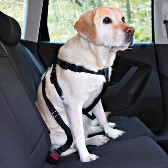 фото Ремень безопасности для собак trixie автомобильный, со шлейкой 30-60см ,в ассортименте