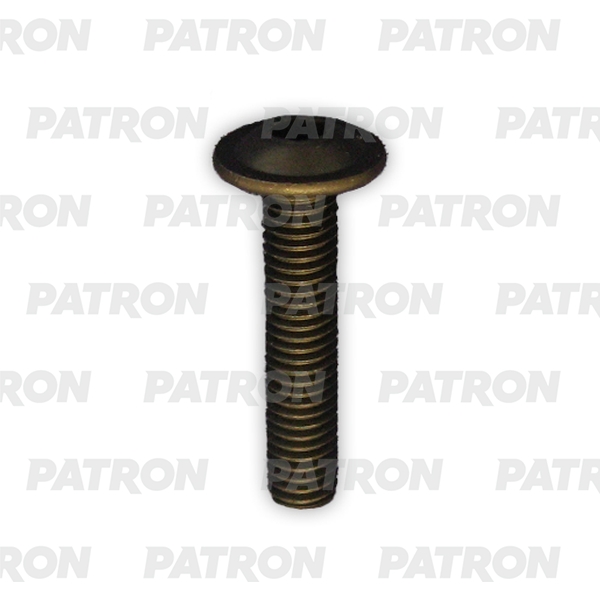 PATRON P37-3221T Болт металлический с внутренним шестигранником, черный M8X20 10шт
PATRON P37-3221T Болт металлический с внутренним шестигранником, черный M8X20 10шт