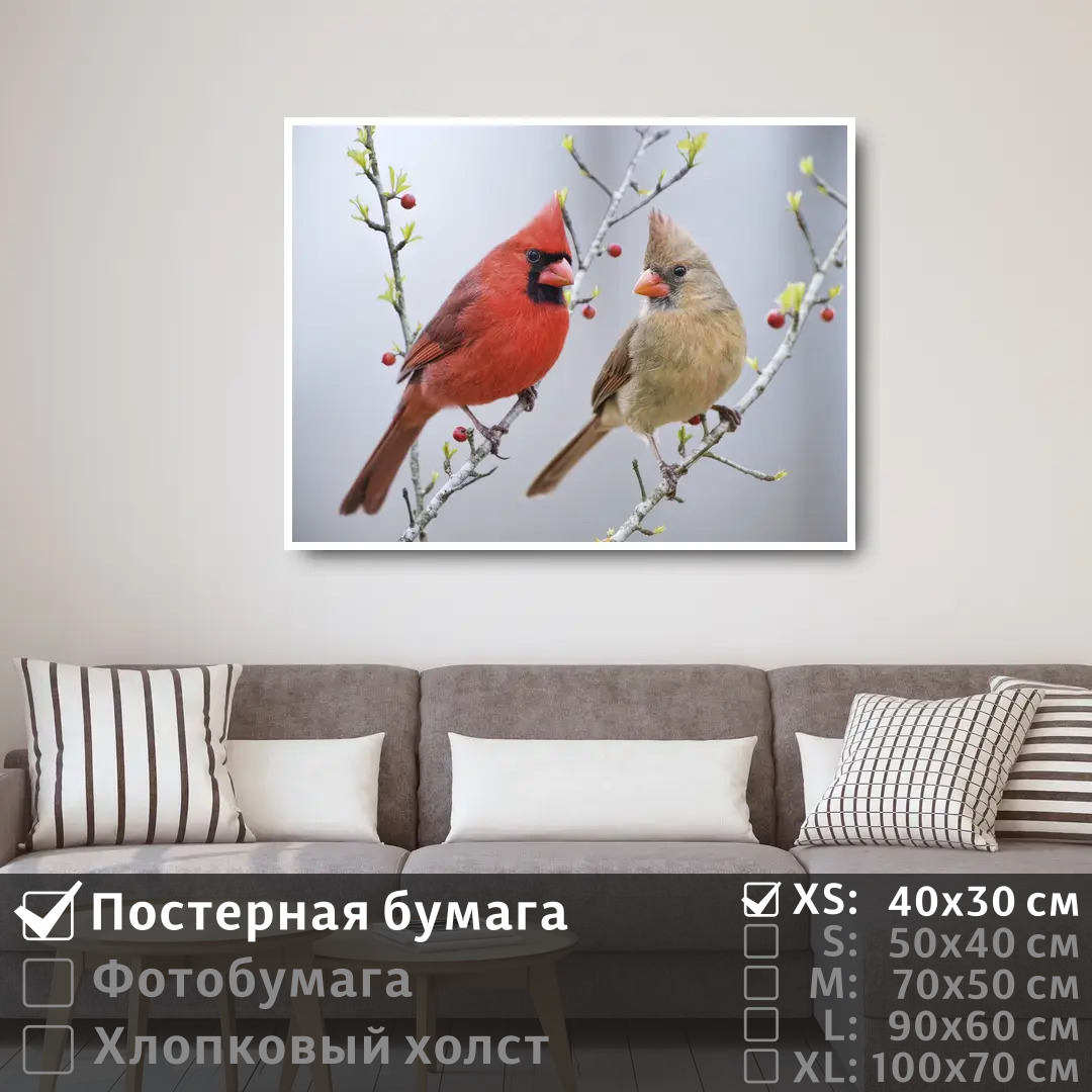 Постер на стену ПолиЦентр Две хохлатые птички сидят на ветке с ягодами 40х30 см, ДвеХохлатыеПтичкиСидятНаВеткеСЯгодами
Постер на стену ПолиЦентр Две хохлатые птички сидят на ветке с ягодами 40х30 см, ДвеХохлатыеПтичкиСидятНаВеткеСЯгодами