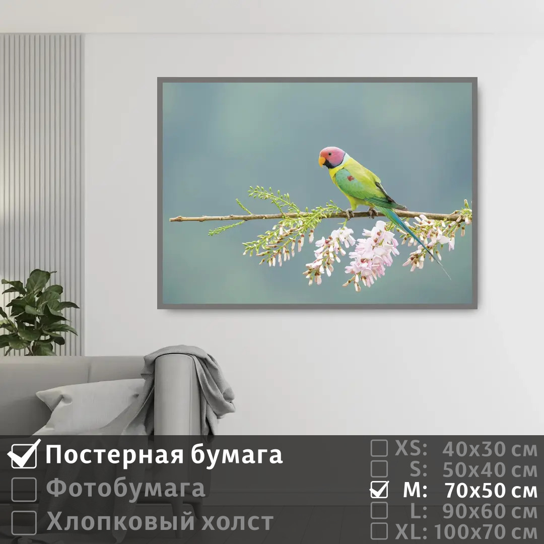 Постер на стену ПолиЦентр Попугай сидит на цветущей ветке 70х50 см, ПопугайСидитНаЦветущейВетке
Постер на стену ПолиЦентр Попугай сидит на цветущей ветке 70х50 см, ПопугайСидитНаЦветущейВетке