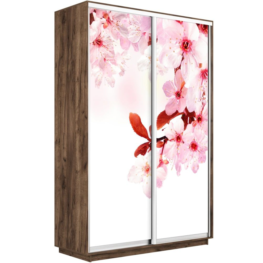 Шкаф-купе Е1 Экспресс Фото дуо Крафт Табачный 140-220-60 SAKURA, Коричневый, Экспресс Фото Дуо
Шкаф-купе Е1 Экспресс Фото дуо Крафт Табачный 140-220-60 SAKURA, Коричневый, Экспресс Фото Дуо