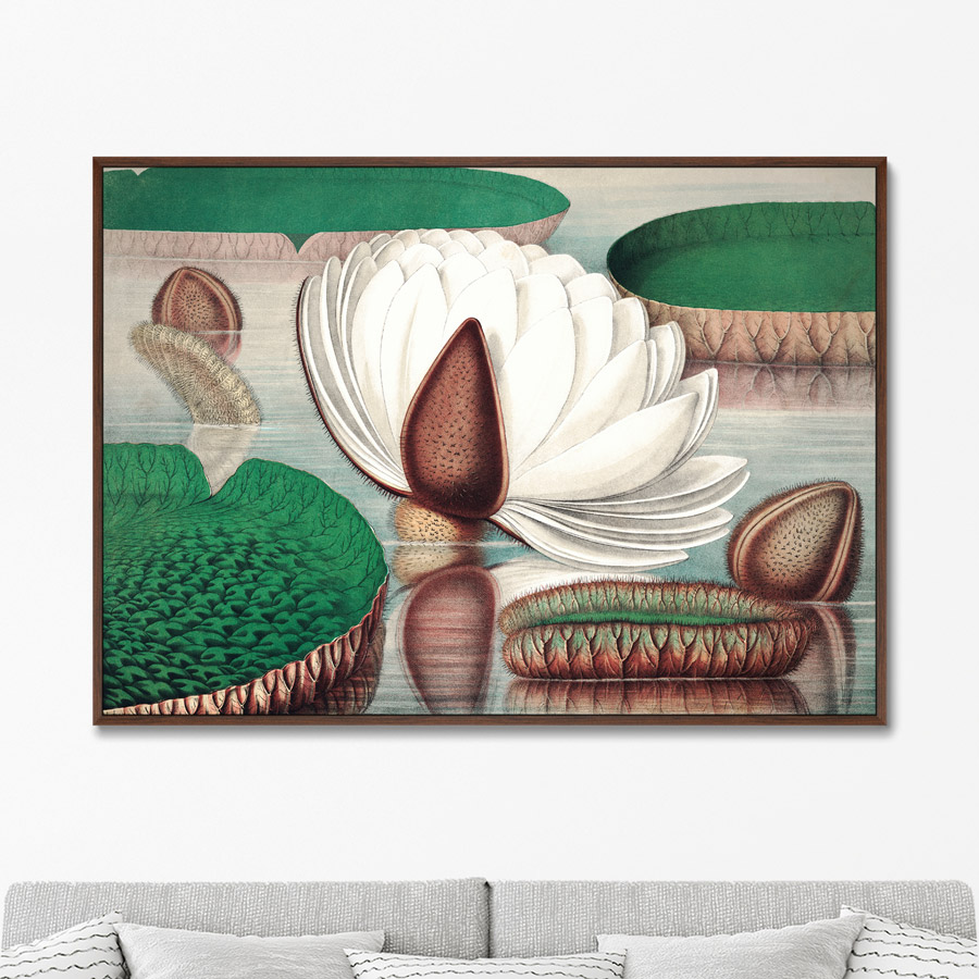 Репродукция картины на холсте Opening of a gigantic water lily 1870г. Размер 75х105см
Репродукция картины на холсте Opening of a gigantic water lily 1870г. Размер 75х105см