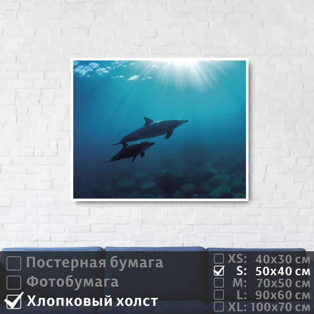 Постер на холсте ПолиЦентр Два дельфина плавают в глубине океана 50х40 см, ДваДельфинаПлаваютВГлубинеОкеана
Постер на холсте ПолиЦентр Два дельфина плавают в глубине океана 50х40 см, ДваДельфинаПлаваютВГлубинеОкеана