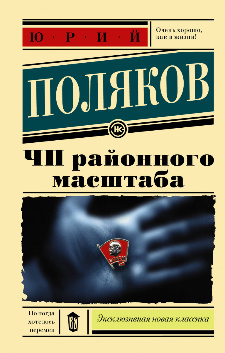 фото Книга чп районного масштаба аст