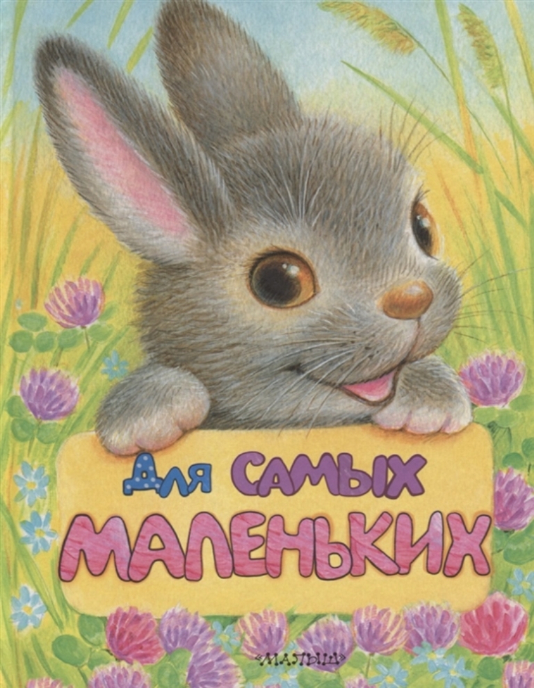 фото Книга для самых маленьких аст