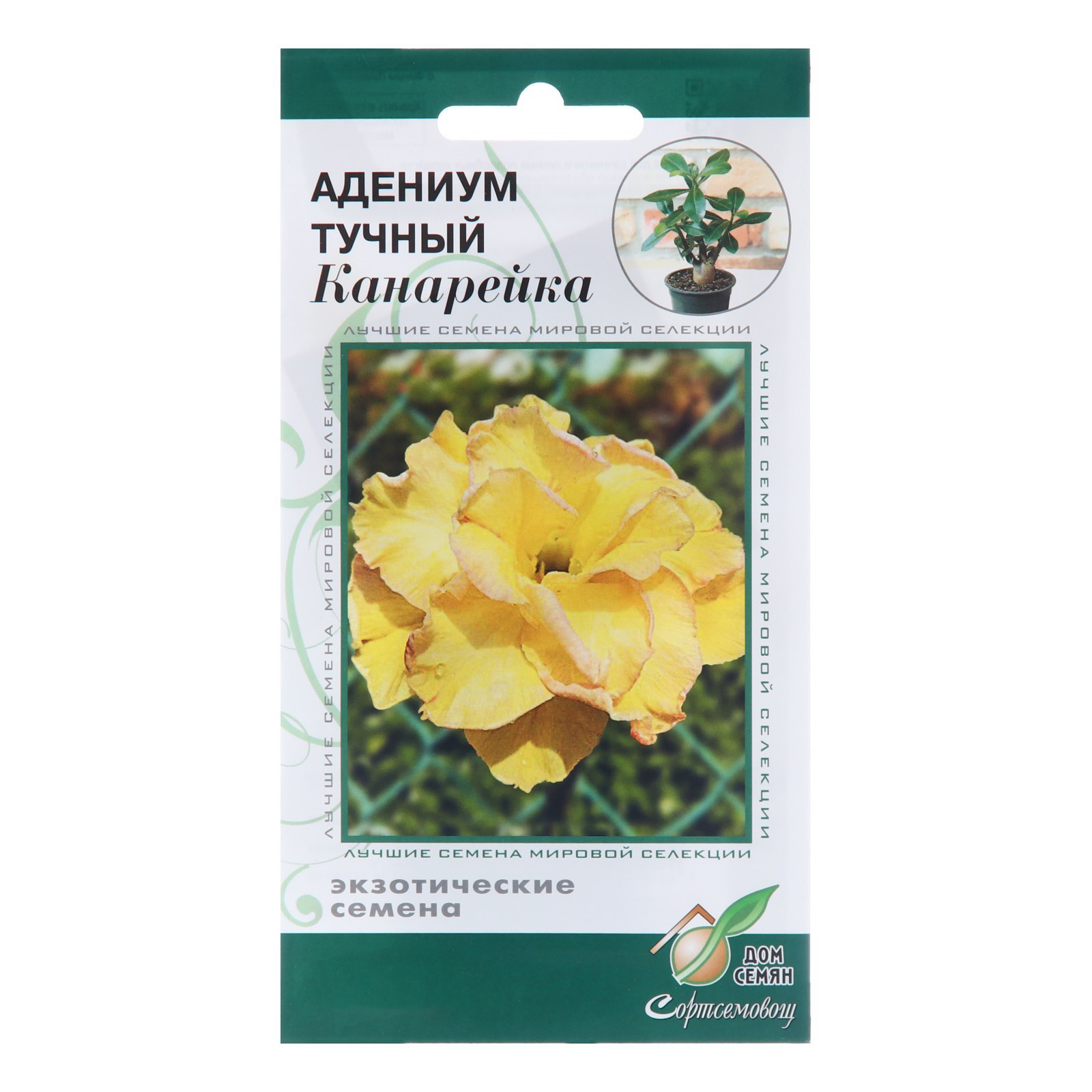 Семена цветов Адениум тучный "Канарейка", 3 шт
Семена цветов Адениум тучный "Канарейка", 3 шт