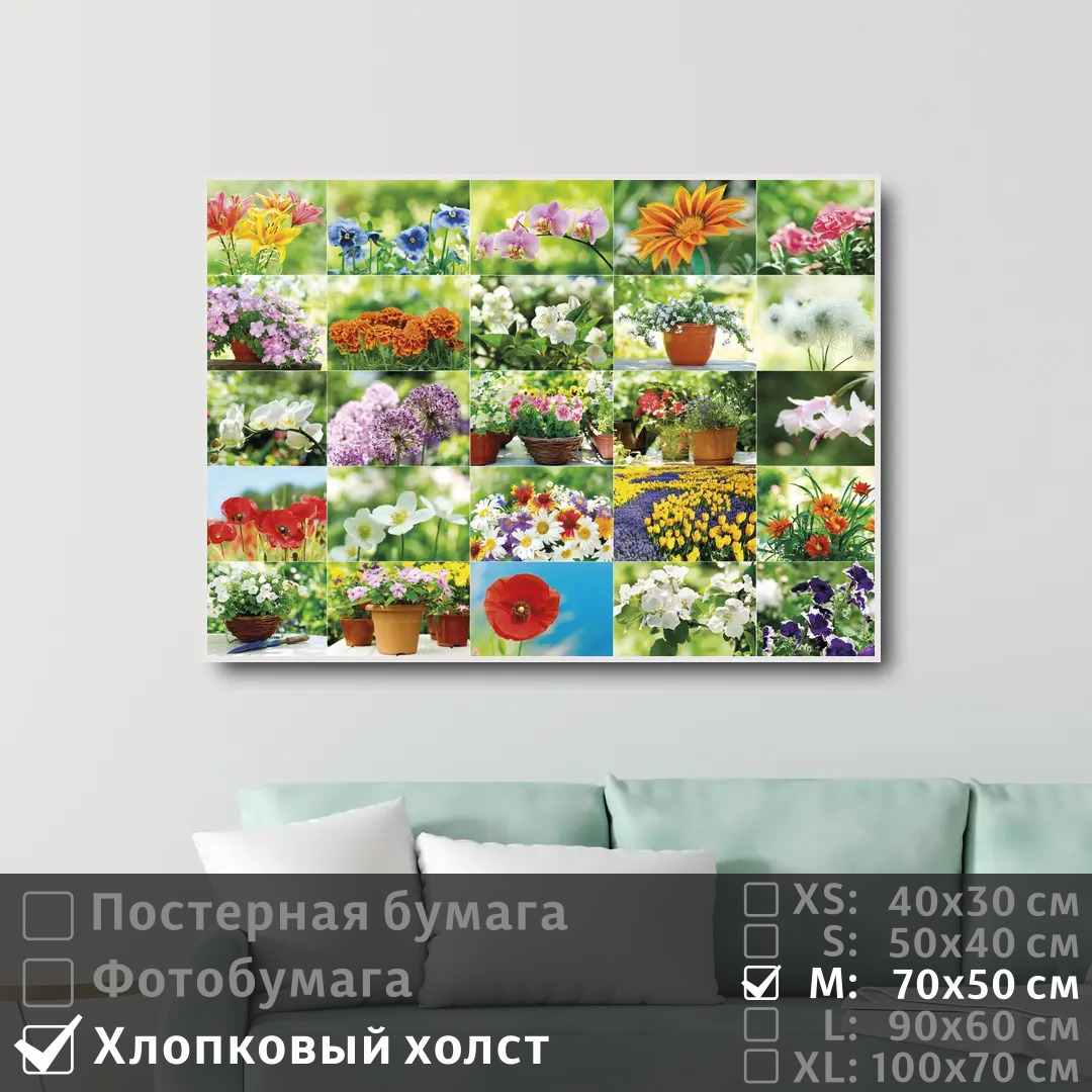 Постер на холсте ПолиЦентр Коллаж из красивых цветов 70х50 см, КоллажИзКрасивыхЦветов
Постер на холсте ПолиЦентр Коллаж из красивых цветов 70х50 см, КоллажИзКрасивыхЦветов