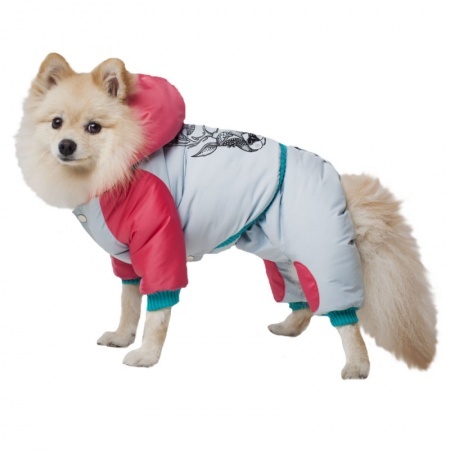 Комплект полукомбинезон и куртка ZooExpress DogVille 52645д, с капюшоном, на кнопках, зима
Комплект полукомбинезон и куртка ZooExpress DogVille 52645д, с капюшоном, на кнопках, зима