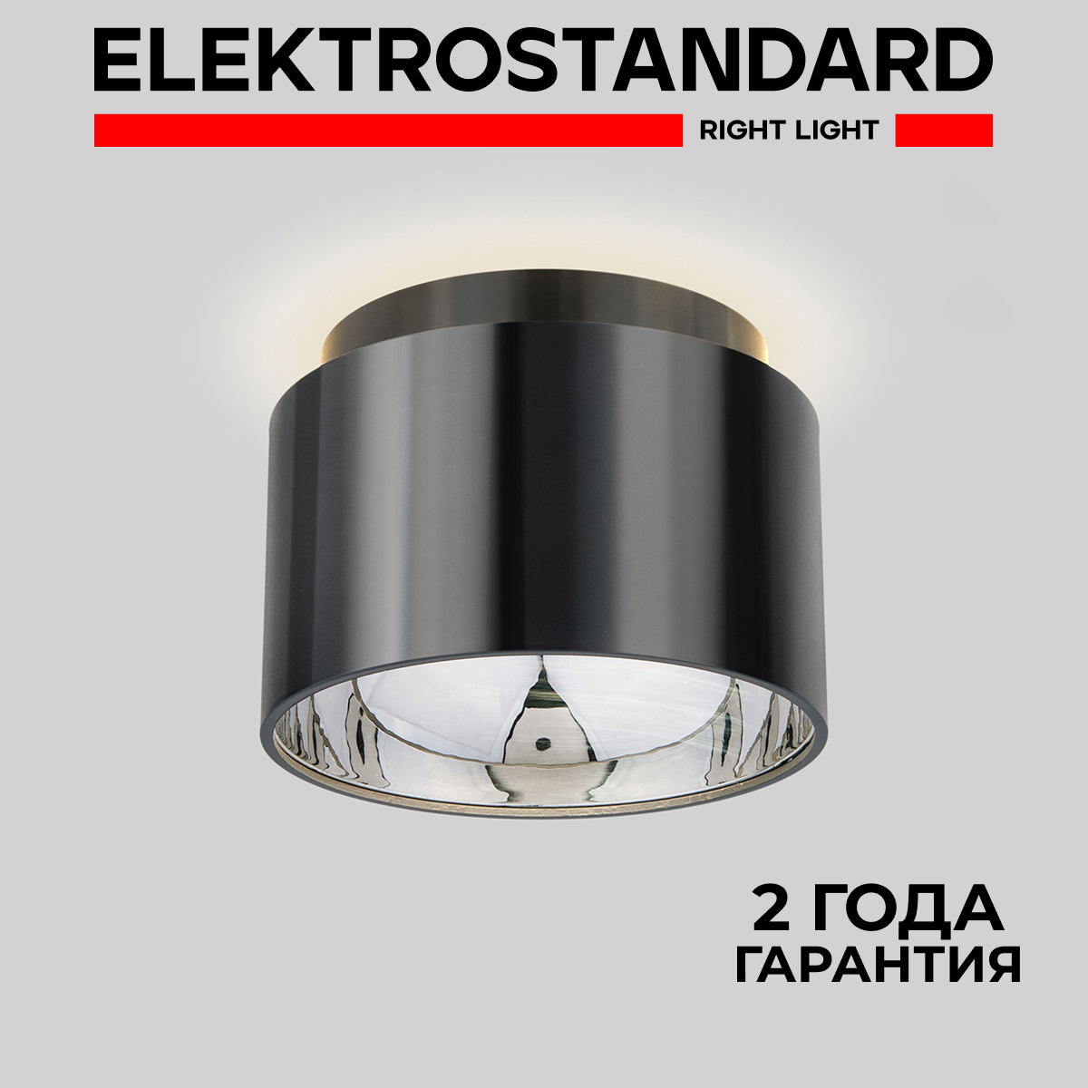 Накладной потолочный светильник Elektrostandard Charlie 1069 GX53 черный жемчуг, Charlie 190923
Накладной потолочный светильник Elektrostandard Charlie 1069 GX53 черный жемчуг, Charlie 190923