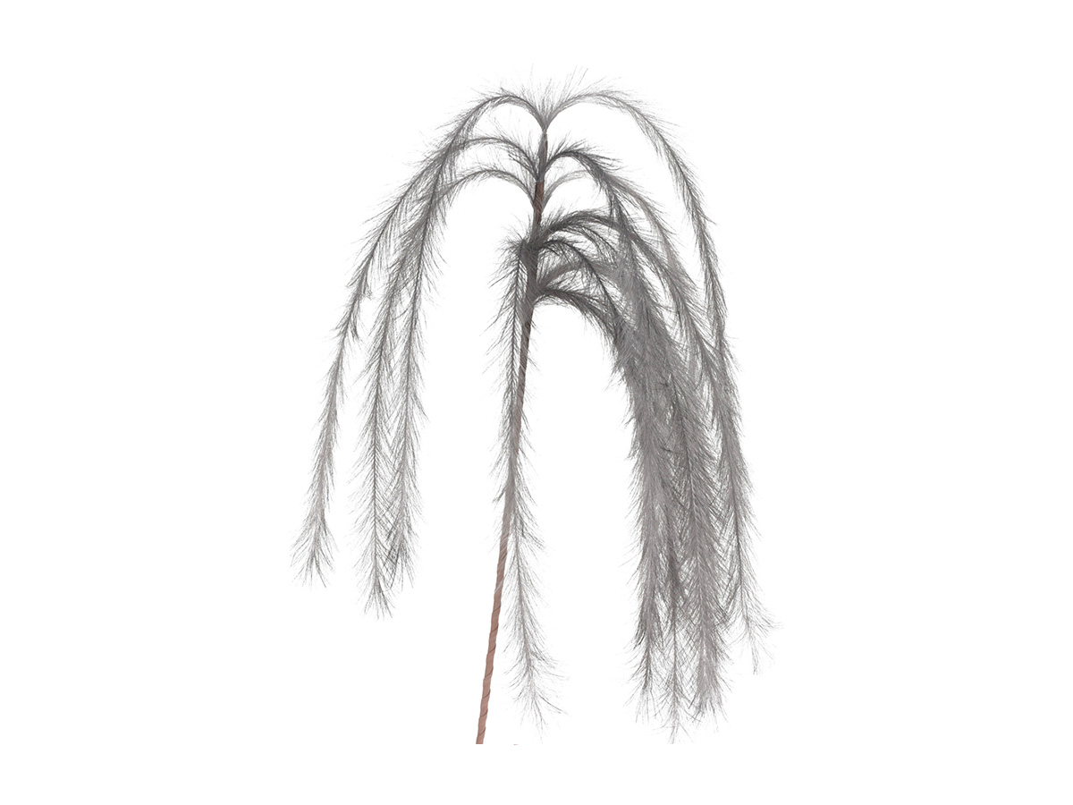 Ветка декоративная FEATHERS 130 см ОГОГО Обстановочка!, Серый, Ветка декоративная FEATHERS 130 см
Ветка декоративная FEATHERS 130 см ОГОГО Обстановочка!, Серый, Ветка декоративная FEATHERS 130 см