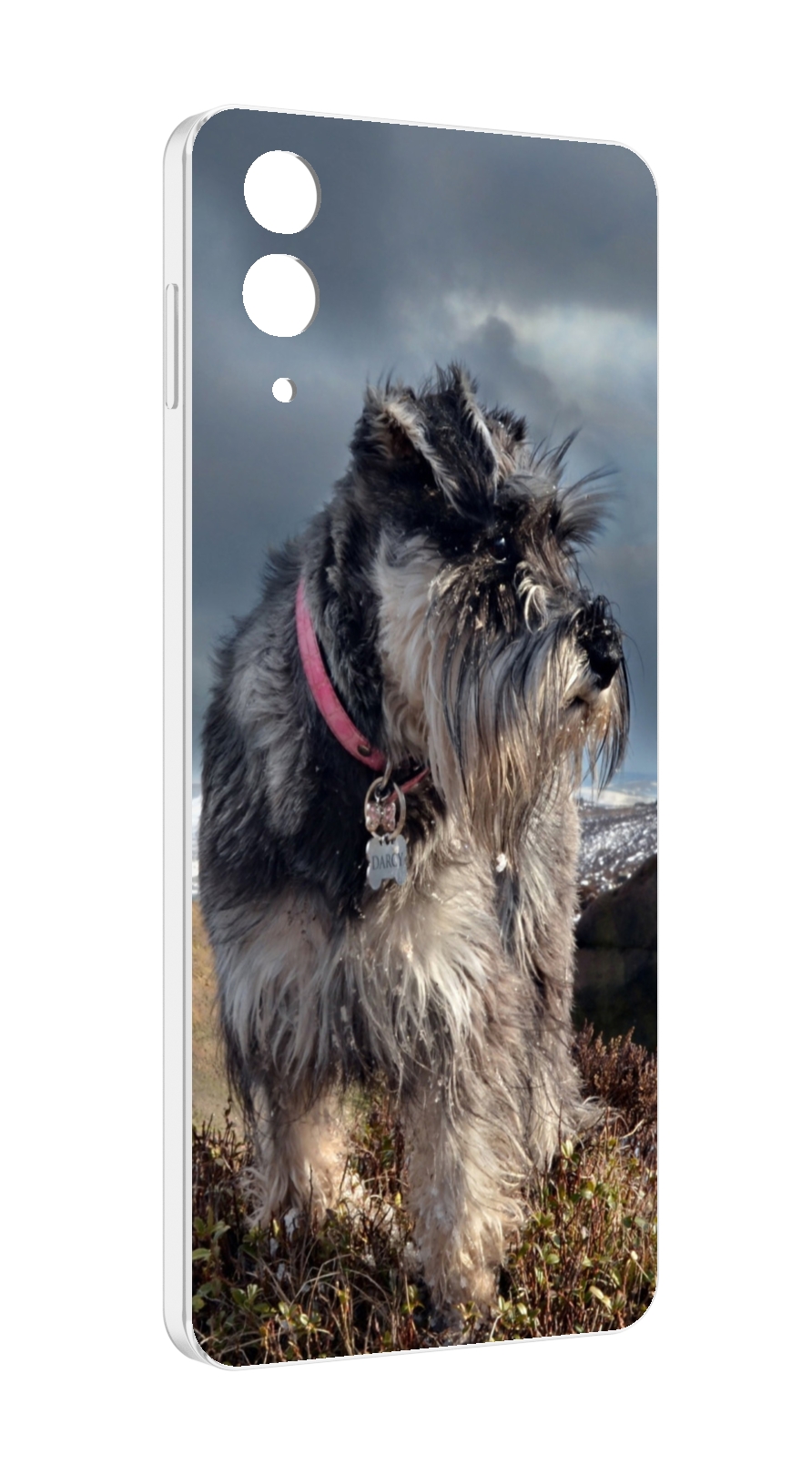 Чехол MyPads ризеншнауцер 2 для Samsung Galaxy Z Flip 4 (SM-F721), Прозрачный, Tocco
Чехол MyPads ризеншнауцер 2 для Samsung Galaxy Z Flip 4 (SM-F721), Прозрачный, Tocco