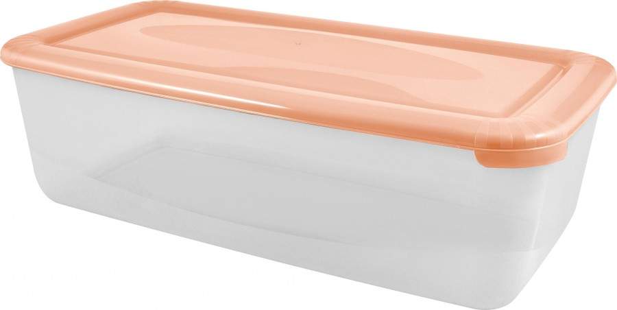 Емкость для хранения продуктов Polar 6л, прямоуг, персиковая карамель PT1679ПК Plast Team
Емкость для хранения продуктов Polar 6л, прямоуг, персиковая карамель PT1679ПК Plast Team