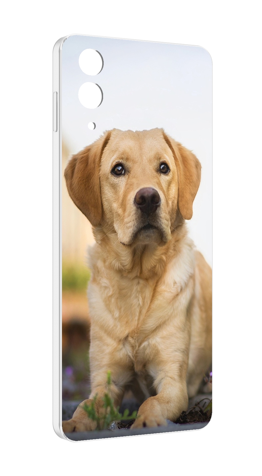 Чехол MyPads лабрадор ретривер для Samsung Galaxy Z Flip 4 (SM-F721), Прозрачный, Tocco
Чехол MyPads лабрадор ретривер для Samsung Galaxy Z Flip 4 (SM-F721), Прозрачный, Tocco