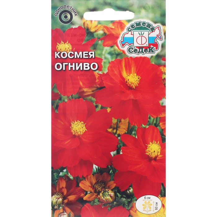 Семена цветов цветок Космея Огниво (вид: серно-жёлтая, ярко-красные с желтым центром) . Ев
Семена цветов цветок Космея Огниво (вид: серно-жёлтая, ярко-красные с желтым центром) . Ев