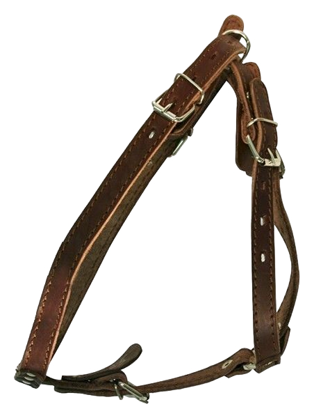 Шлейка для собак Zooexpress 0850К однослойная, коричневая, XL, обхват груди 75-85 см, Коричневый
Шлейка для собак Zooexpress 0850К однослойная, коричневая, XL, обхват груди 75-85 см, Коричневый