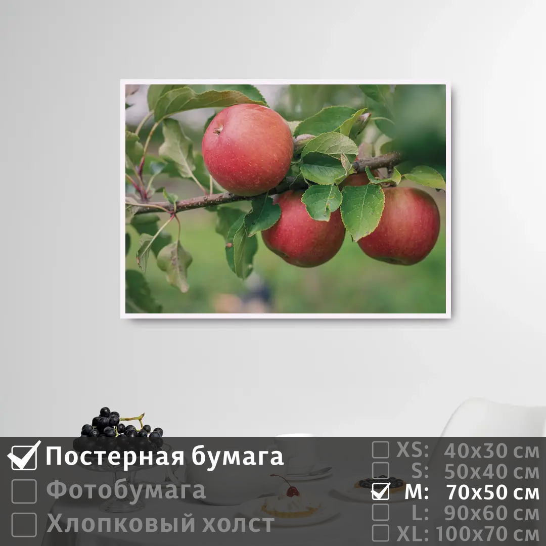 Постер на стену ПолиЦентр Красные яблоки на ветке яблони 70х50 см, КрасныеЯблокиНаВеткеЯблони
Постер на стену ПолиЦентр Красные яблоки на ветке яблони 70х50 см, КрасныеЯблокиНаВеткеЯблони