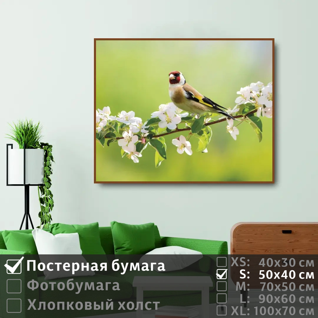 Постер на стену ПолиЦентр Птица щегол сидит на ветке с белыми цветами 50х40 см, ПтицаЩеголСидитНаВеткеСБелымиЦветами
Постер на стену ПолиЦентр Птица щегол сидит на ветке с белыми цветами 50х40 см, ПтицаЩеголСидитНаВеткеСБелымиЦветами