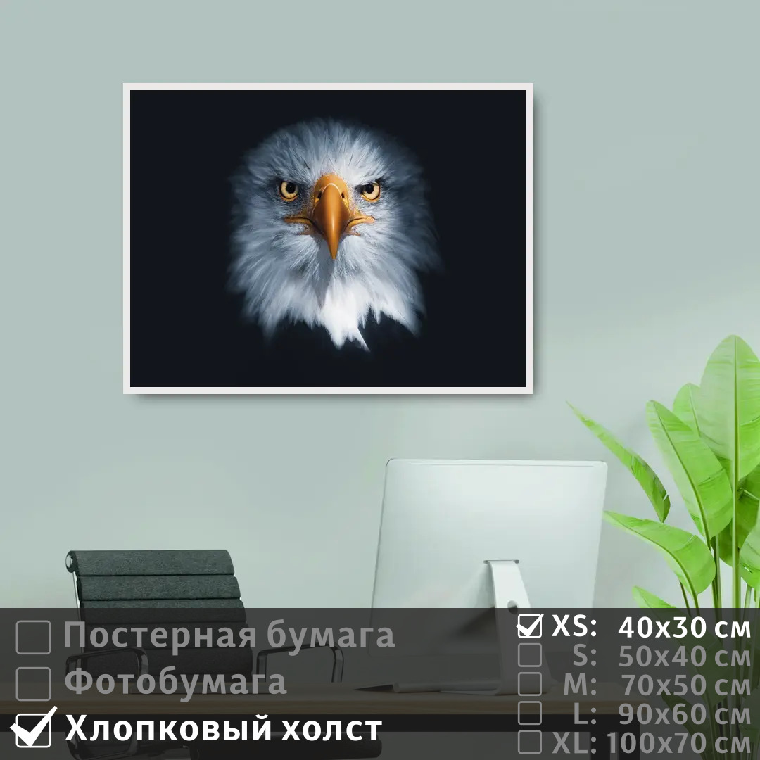 Постер на холсте ПолиЦентр Хищная сова с оранжевым клювом 40х30 см, ХищнаяСоваСОранжевымКлювом
Постер на холсте ПолиЦентр Хищная сова с оранжевым клювом 40х30 см, ХищнаяСоваСОранжевымКлювом