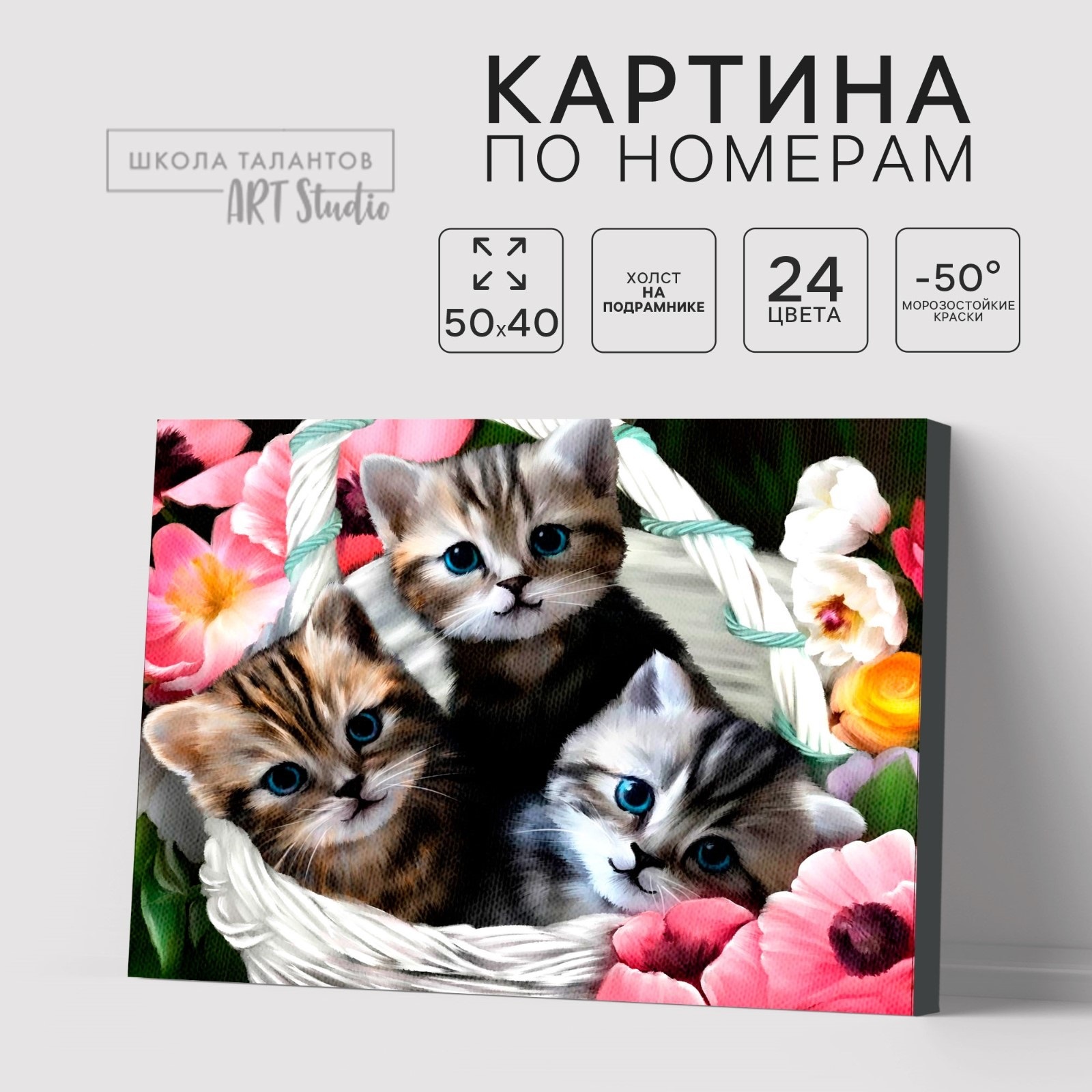 Картина по номерам Школа талантов «Котята», на холсте с подрамником, 40 х 50 см
Картина по номерам Школа талантов «Котята», на холсте с подрамником, 40 х 50 см