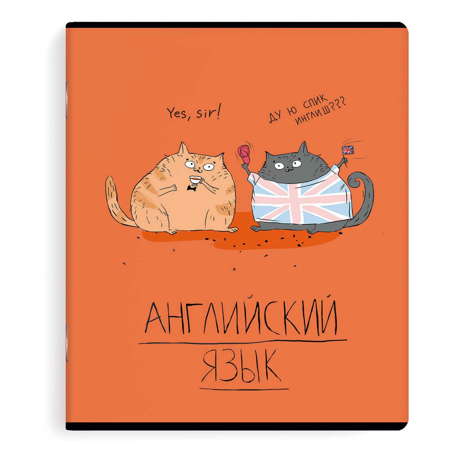 Тетрадь предметная Феникс+ Любознательные коты 48 листов английский язык A5 на скрепке в к
Тетрадь предметная Феникс+ Любознательные коты 48 листов английский язык A5 на скрепке в к