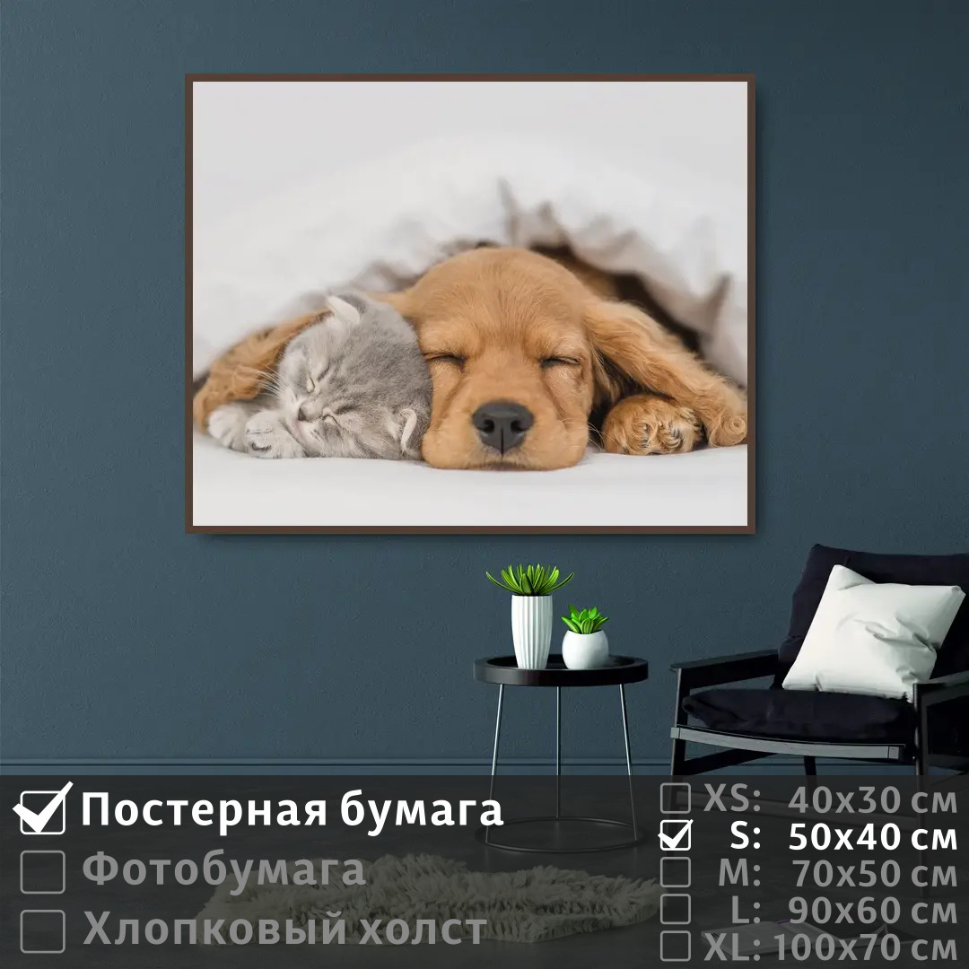 Постер на стену ПолиЦентр Спящие котенок и щенок 50х40 см, СпящиеКотенокИЩенок
Постер на стену ПолиЦентр Спящие котенок и щенок 50х40 см, СпящиеКотенокИЩенок