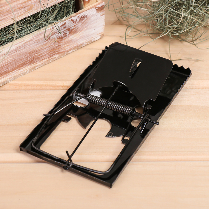 Крысоловка, 8,5 × 15 см, металлическая
Крысоловка, 8,5 × 15 см, металлическая