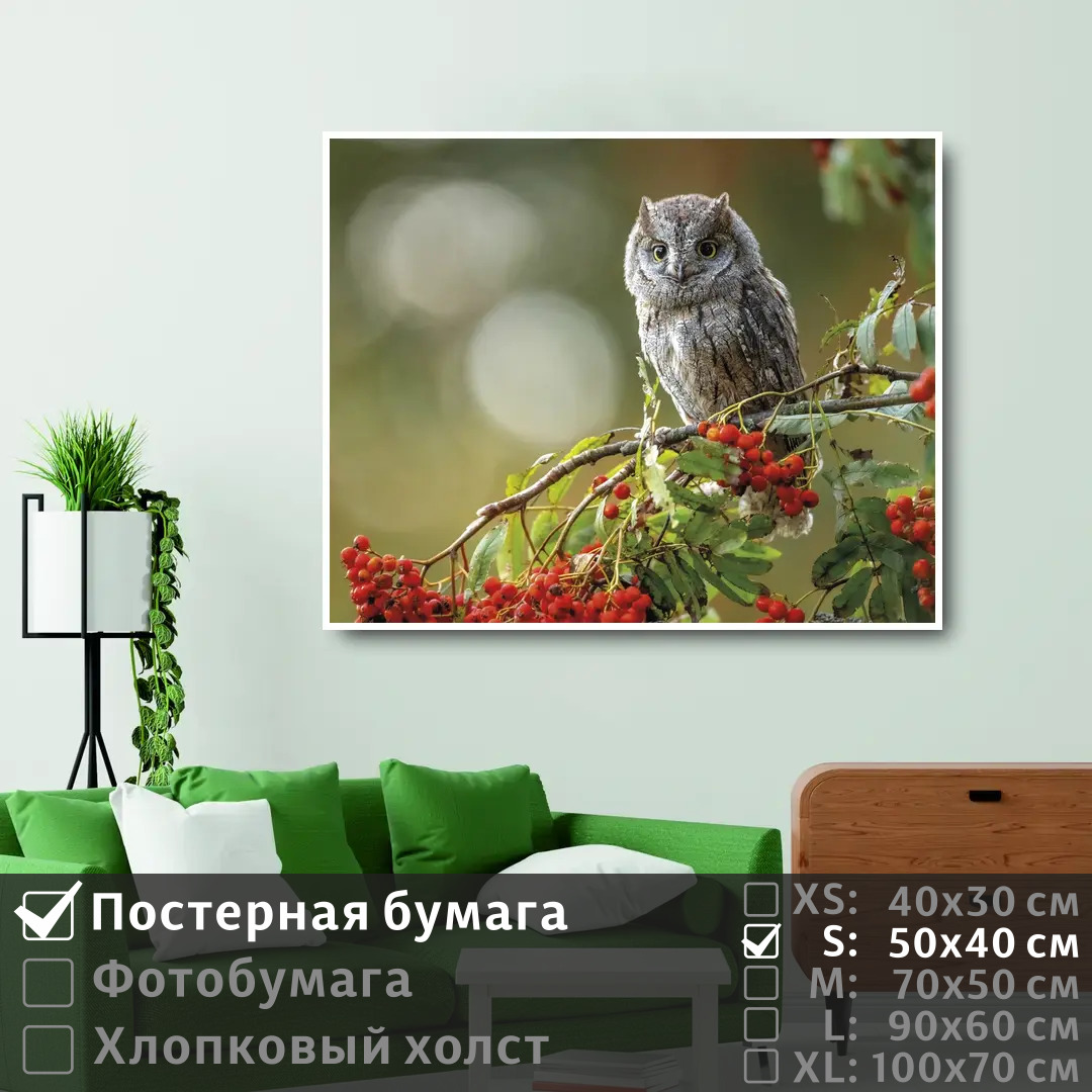 Постер на стену ПолиЦентр Сова сидит на ветке красной рябины в лесу 50х40 см, СоваСидитНаВеткеКраснойРябиныВЛесу
Постер на стену ПолиЦентр Сова сидит на ветке красной рябины в лесу 50х40 см, СоваСидитНаВеткеКраснойРябиныВЛесу