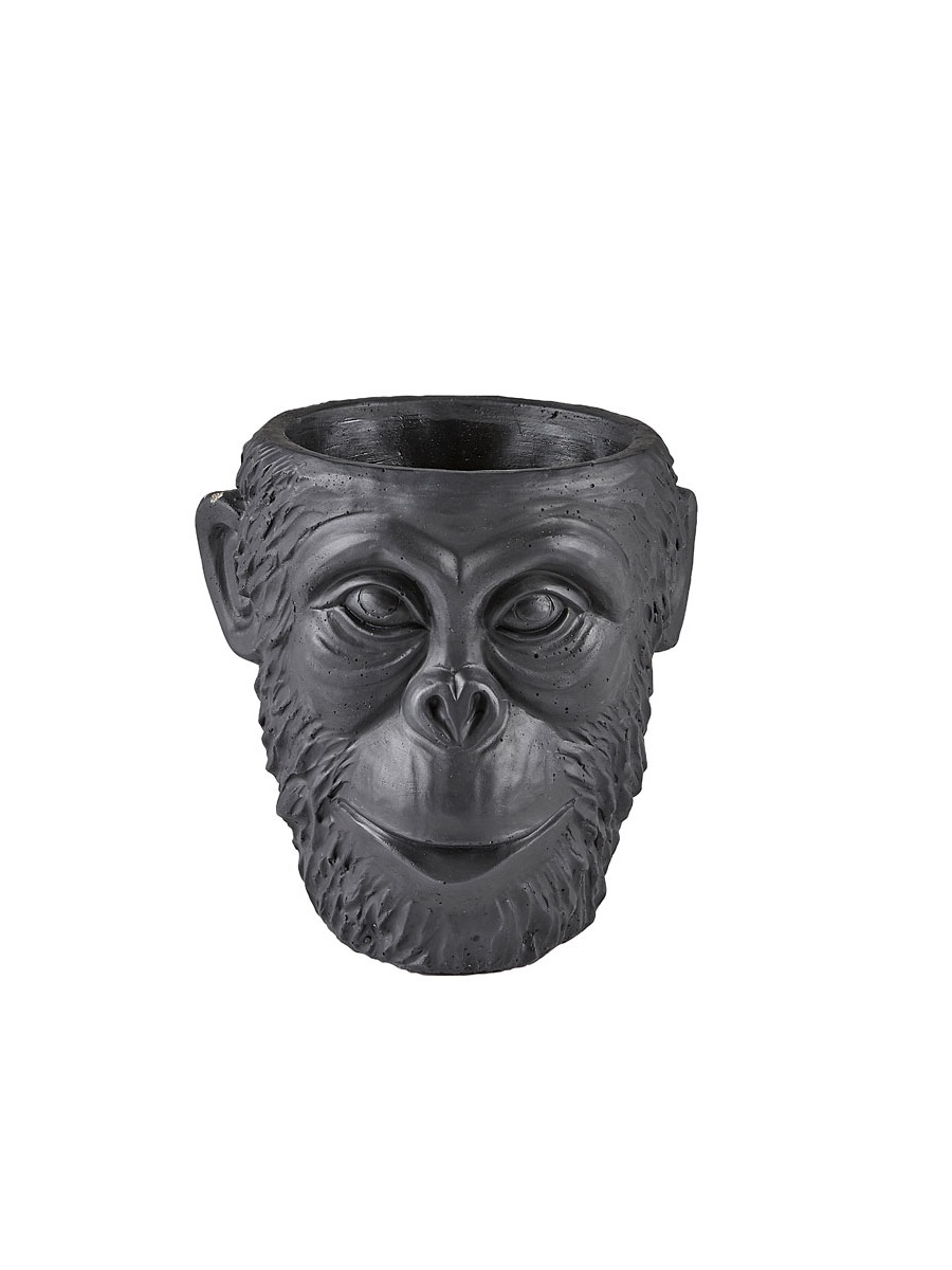 Цветочный горшок Villa Collection Gorilla, д. 19 см VC341751, Villa Collection Flowerpot Gorilla
Цветочный горшок Villa Collection Gorilla, д. 19 см VC341751, Villa Collection Flowerpot Gorilla