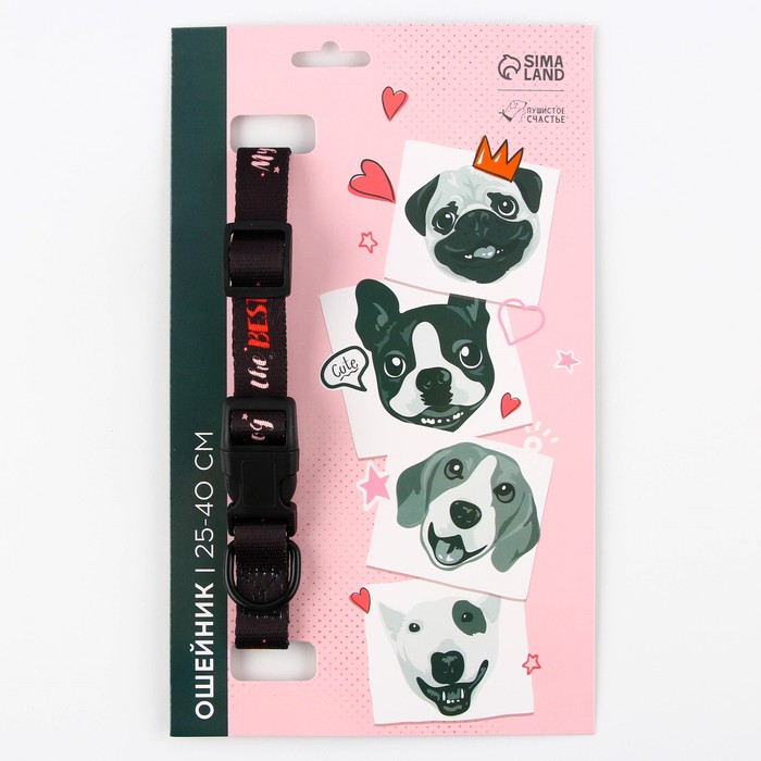 Пушистое счастье My dog is the best, нейлон, застежка-фастекс, 2 см 25-40 см, My dog is the best
Пушистое счастье My dog is the best, нейлон, застежка-фастекс, 2 см 25-40 см, My dog is the best