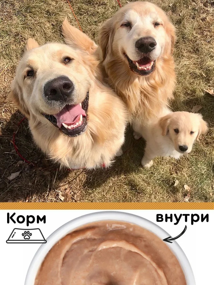 Четвероногий Гурман Корм для собак Golden line Мусс сливочный с говядиной, 100 гр, 6 шт, Golden line
Четвероногий Гурман Корм для собак Golden line Мусс сливочный с говядиной, 100 гр, 6 шт, Golden line