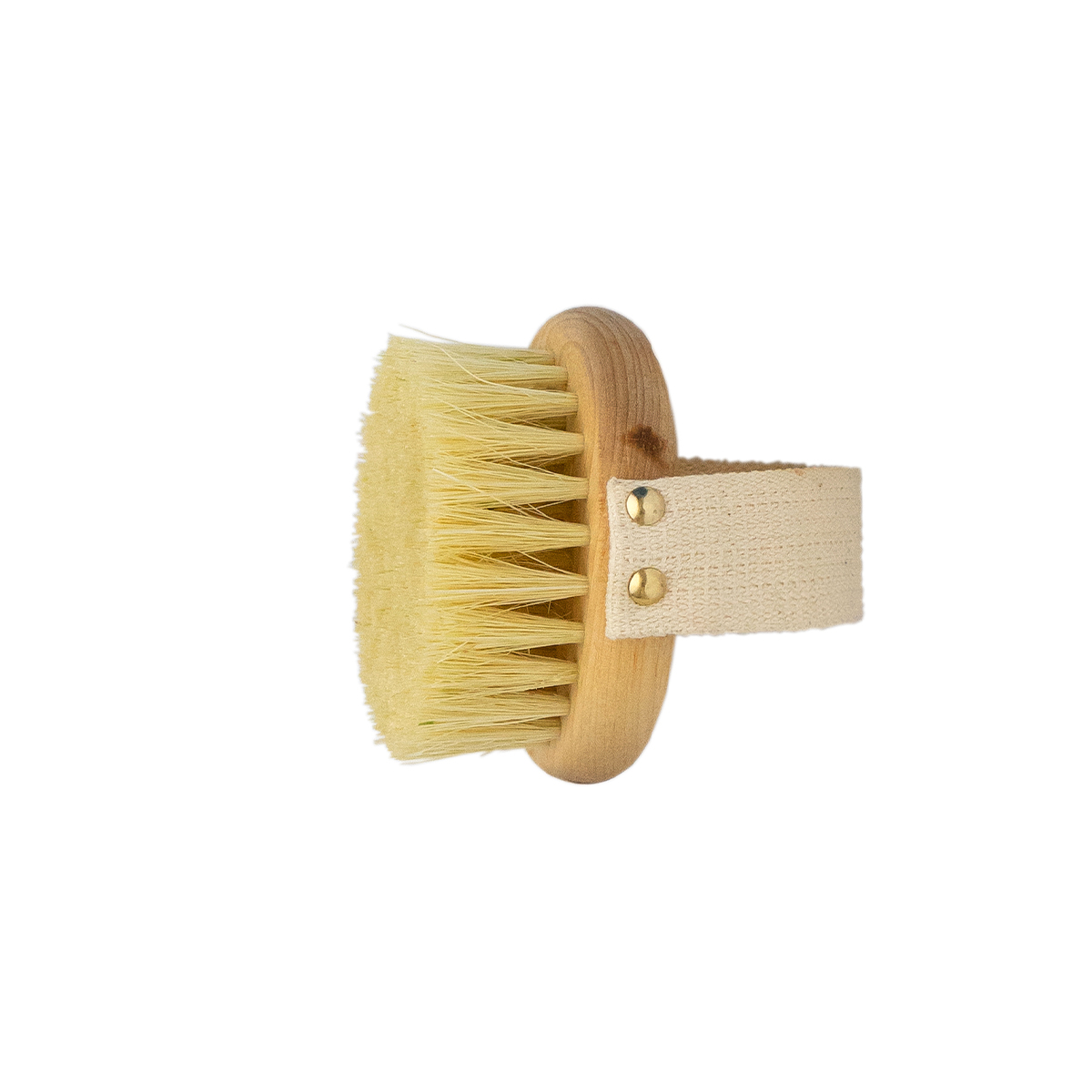 Массажная щетка PRBRUSH LEI для сухого массажа, круглая, с ремешком, тампико с покрытием, Бежевый
Массажная щетка PRBRUSH LEI для сухого массажа, круглая, с ремешком, тампико с покрытием, Бежевый