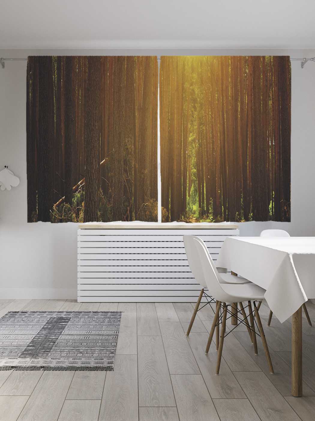 фото Шторы с фотопечатью joyarty "лесной восход" из сатена, 290х180 см