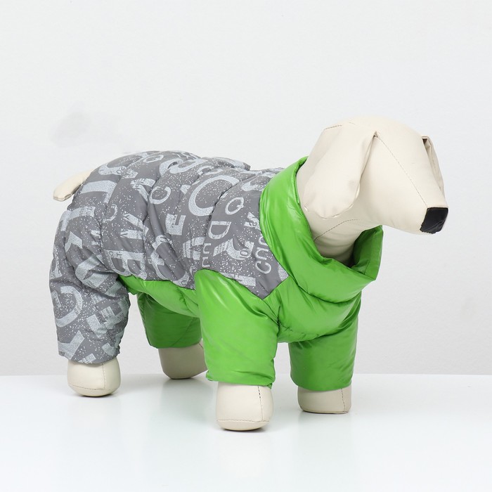 Комбинезон Ультра светоотражающий зелёный размер 12 ДС 24 см, ОГ 38 см, ОШ 27 см, Зеленый
Комбинезон Ультра светоотражающий зелёный размер 12 ДС 24 см, ОГ 38 см, ОШ 27 см, Зеленый