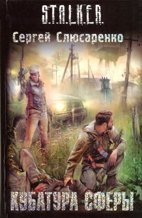 фото Книга кубатура сферы аст