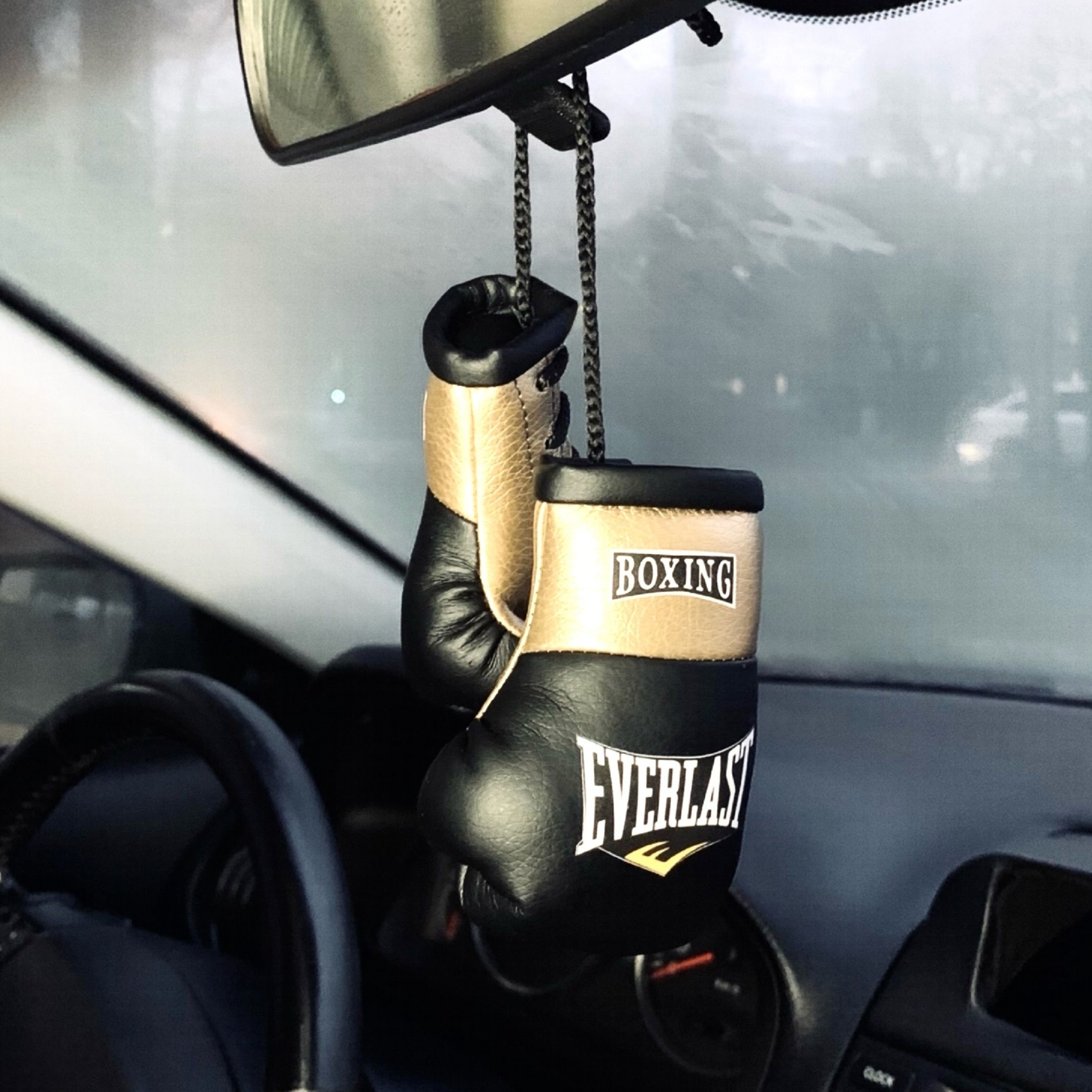 Брелок автомобильный перчатки боксерские с логотипом Everlast, черные/золотые, Перчатки
Брелок автомобильный перчатки боксерские с логотипом Everlast, черные/золотые, Перчатки