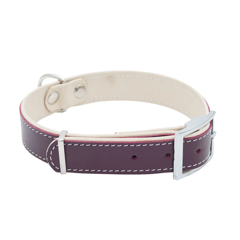 ECOPET Ошейник кожаный BEST с мягкой подкладкой 20 мм обх.шеи. 26-34 бордовый 2 шт, ECOPET Ошейник кожаный BEST с мягкой подкладкой 20 мм обх.шеи. 26-34 бордовый (2 шт)
ECOPET Ошейник кожаный BEST с мягкой подкладкой 20 мм обх.шеи. 26-34 бордовый 2 шт, ECOPET Ошейник кожаный BEST с мягкой подкладкой 20 мм обх.шеи. 26-34 бордовый (2 шт)
