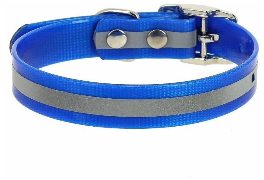 ECOPET Ошейник из биотана шир. 12мм обх. шеи. 24-28см синий 2 шт, ECOPET Ошейник из биотана шир. 12мм обх. шеи. 24-28см синий (2 шт)
ECOPET Ошейник из биотана шир. 12мм обх. шеи. 24-28см синий 2 шт, ECOPET Ошейник из биотана шир. 12мм обх. шеи. 24-28см синий (2 шт)