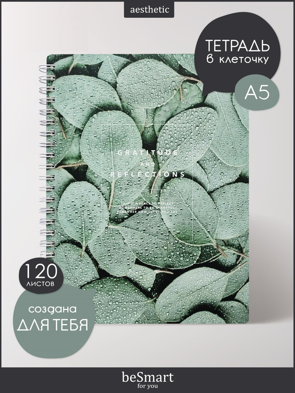 Тетрадь общая beSmart "Botanica" на спирали, А5 на 120 листов в клетку, мягкая обложка, BSТМ120СПА5-2
Тетрадь общая beSmart "Botanica" на спирали, А5 на 120 листов в клетку, мягкая обложка, BSТМ120СПА5-2