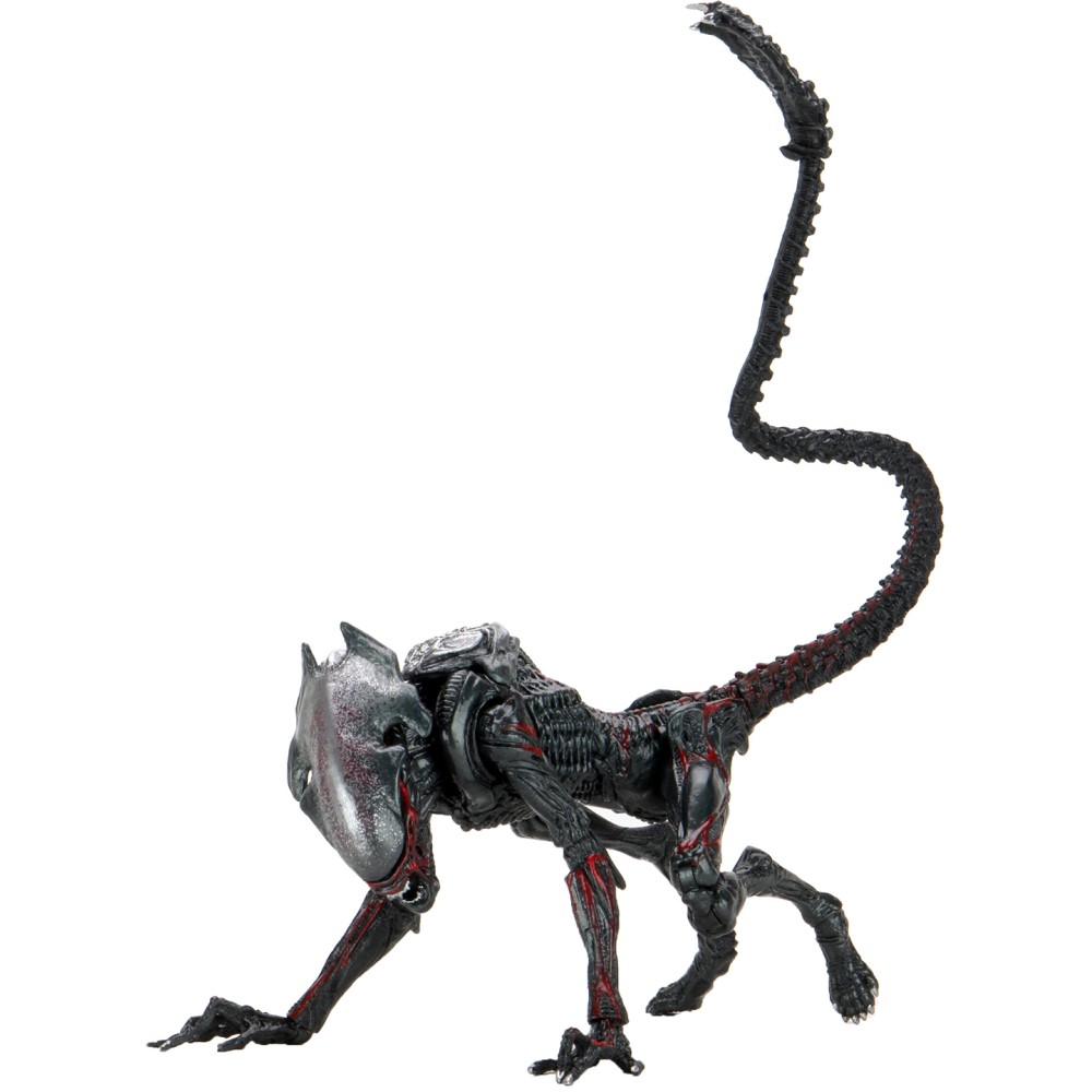 Фигурка Neca Alien 7 Scale Action Figure Ultimate Kenner Tribute Night Cougar Alien, 17 см
Фигурка Neca Alien 7 Scale Action Figure Ultimate Kenner Tribute Night Cougar Alien, 17 см
