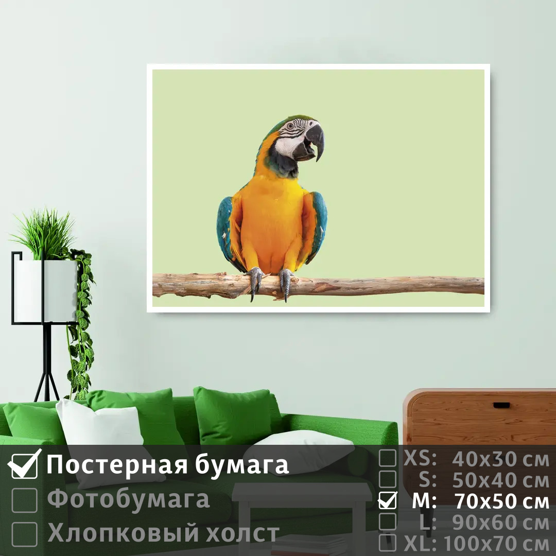 Постер на стену ПолиЦентр Яркий попугай ара на ветке 70х50 см, ЯркийПопугайАраНаВетке
Постер на стену ПолиЦентр Яркий попугай ара на ветке 70х50 см, ЯркийПопугайАраНаВетке