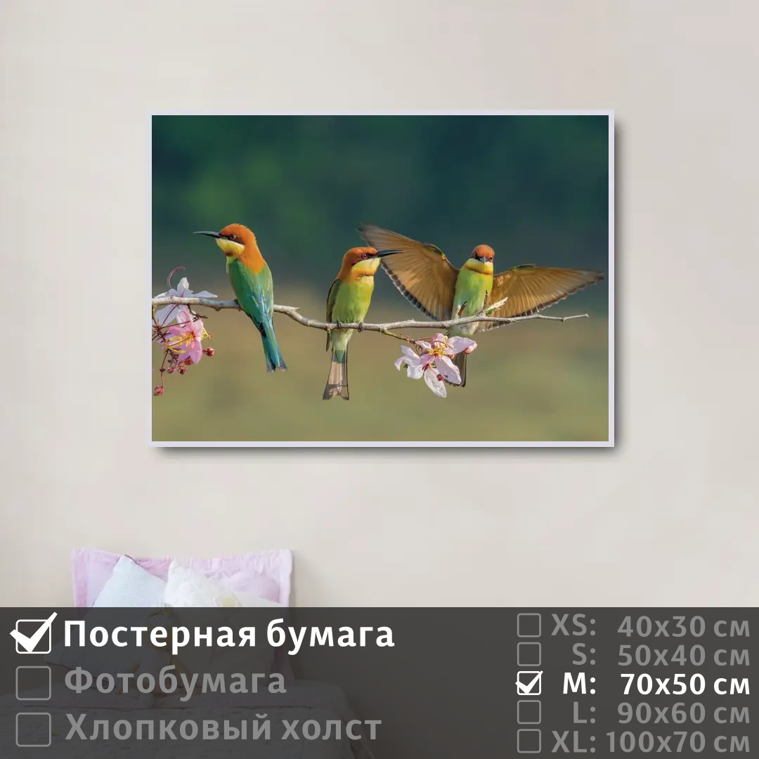 Постер на стену ПолиЦентр Птицы пчелоеды на цветущей ветке 70х50 см, ПтицыПчелоедыНаЦветущейВетке
Постер на стену ПолиЦентр Птицы пчелоеды на цветущей ветке 70х50 см, ПтицыПчелоедыНаЦветущейВетке