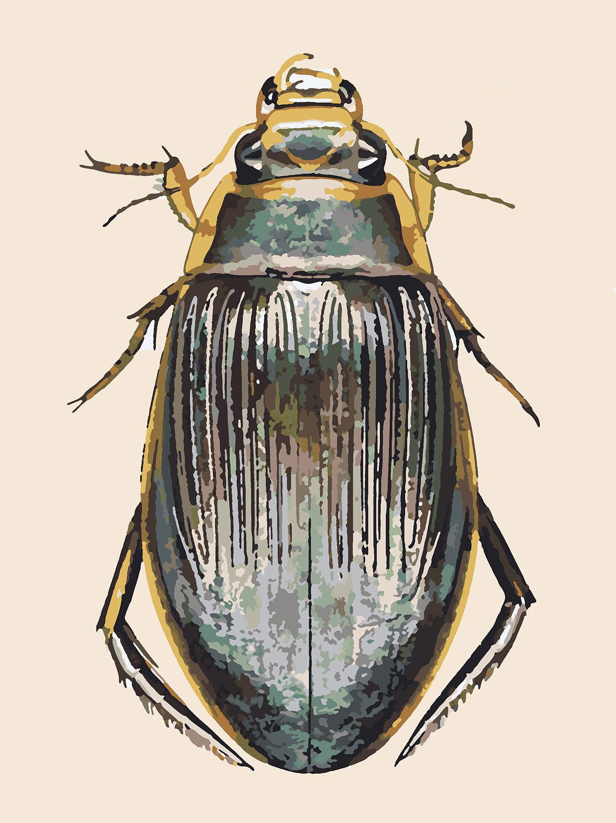 Картина по номерам Красиво Красим Золотисто-серый жук, 90 х 120 см, Золотисто-серый жук
Картина по номерам Красиво Красим Золотисто-серый жук, 90 х 120 см, Золотисто-серый жук