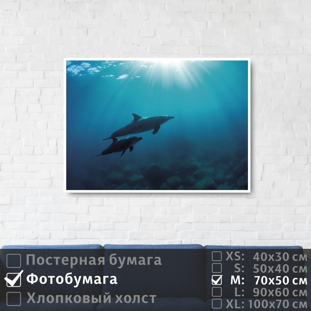 Постер на фотобумаге ПолиЦентр Два дельфина плавают в глубине океана 70х50 см, ДваДельфинаПлаваютВГлубинеОкеана
Постер на фотобумаге ПолиЦентр Два дельфина плавают в глубине океана 70х50 см, ДваДельфинаПлаваютВГлубинеОкеана