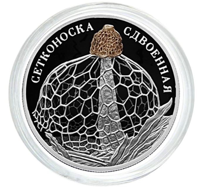 Серебряная монета 2 рубля в капсуле Сетконоска сдвоенная, Красная Книга, СПМД, 2022 PF
Серебряная монета 2 рубля в капсуле Сетконоска сдвоенная, Красная Книга, СПМД, 2022 PF