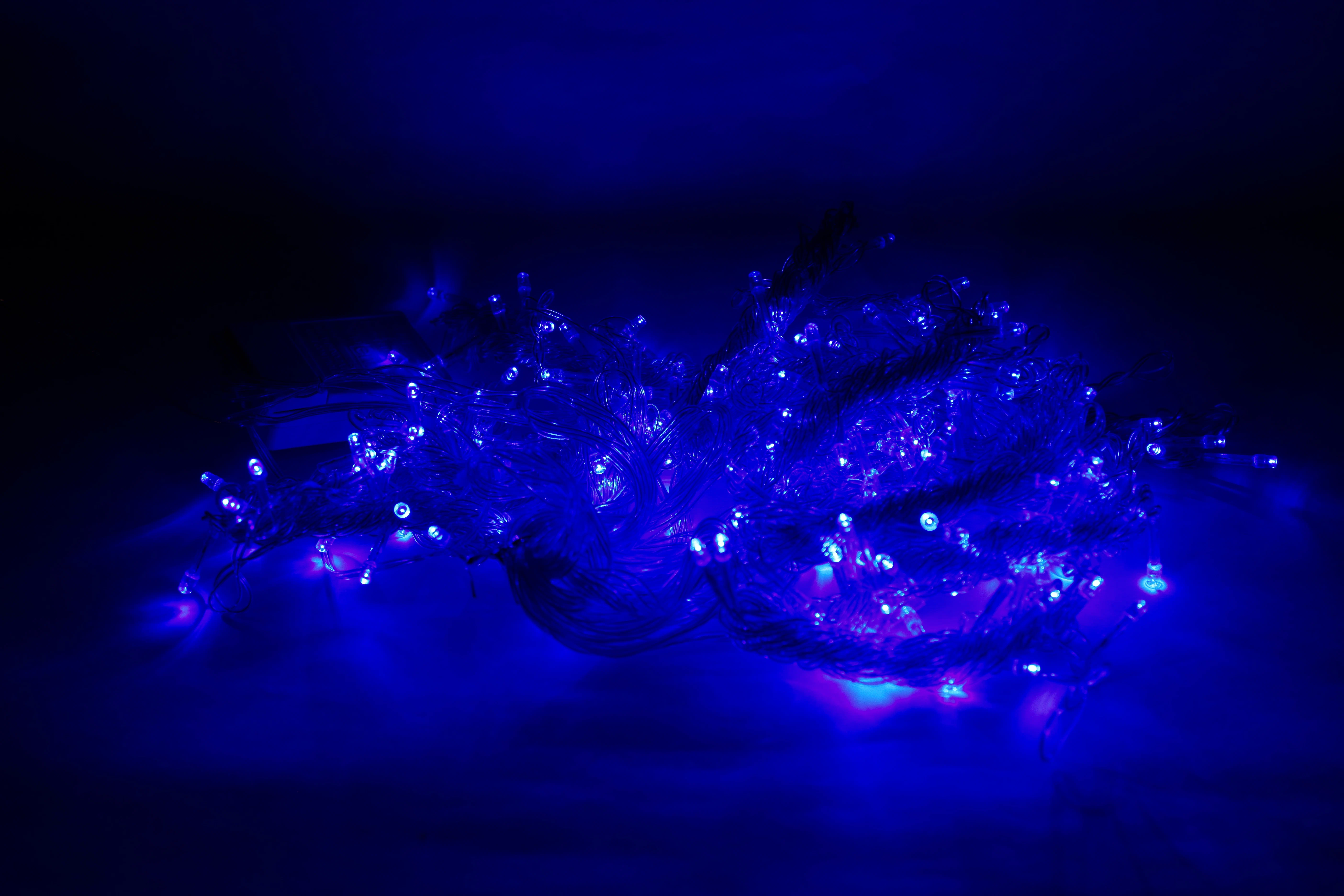 Гирлянды светодиодные новогодние "Штора" 600 LED - 3 x 3 м - цвет Синий, Гирлянды
Гирлянды светодиодные новогодние "Штора" 600 LED - 3 x 3 м - цвет Синий, Гирлянды