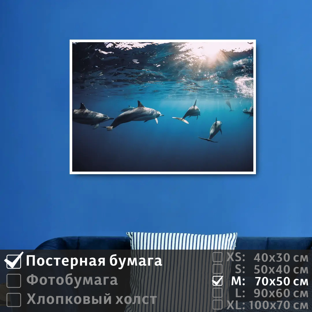 Постер на стену ПолиЦентр Дельфины под водой плывут к солнечным лучам 70х50 см, ДельфиныПодВодойПлывутКСолнечнымЛучам
Постер на стену ПолиЦентр Дельфины под водой плывут к солнечным лучам 70х50 см, ДельфиныПодВодойПлывутКСолнечнымЛучам